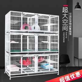 湖南鴿子養殖場